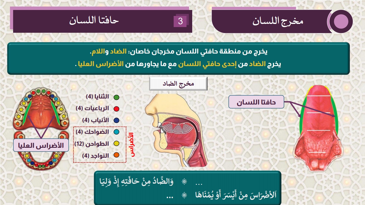 مخارج الحروف - الصفحة 11